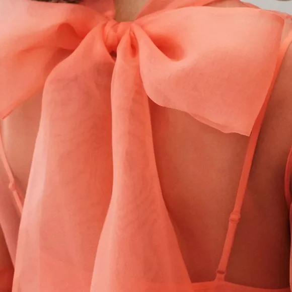 BHLDN Charlotte Short-Sleeve Organza Midi Dress size XL - Picture 4 of 10